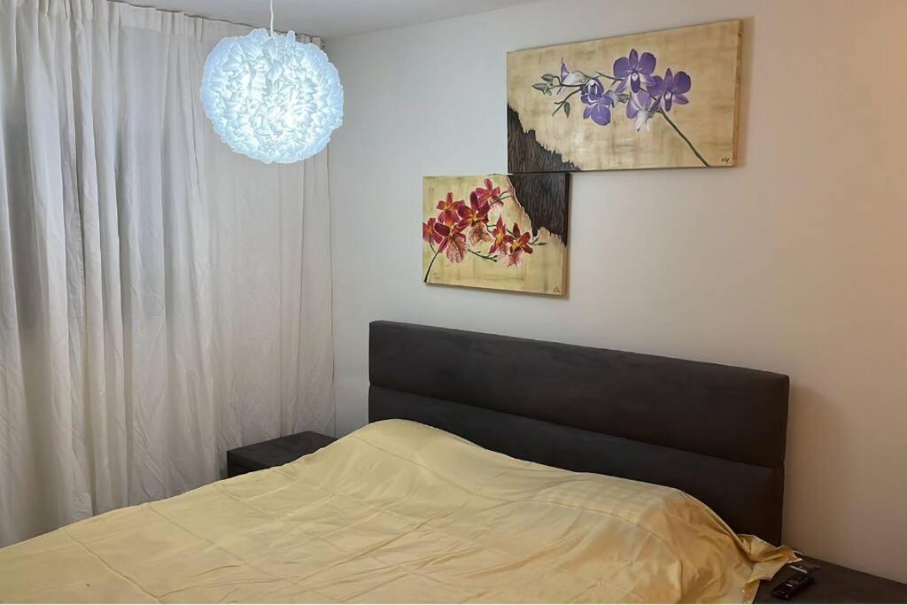 לופט כפרי / אלגנטי מקסים + חניה ללא תשלום Apartment Ashdod Luaran gambar